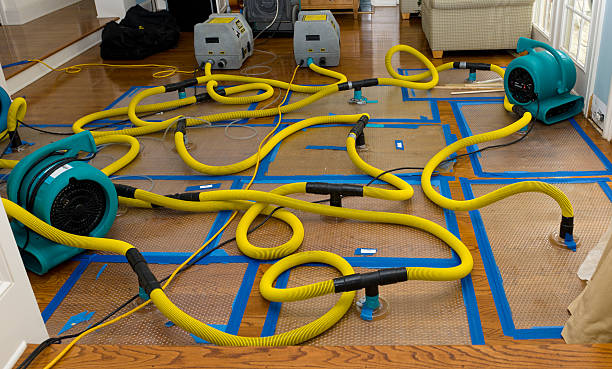 Professional Sewage Cleanup technician working in Moclips, WA
